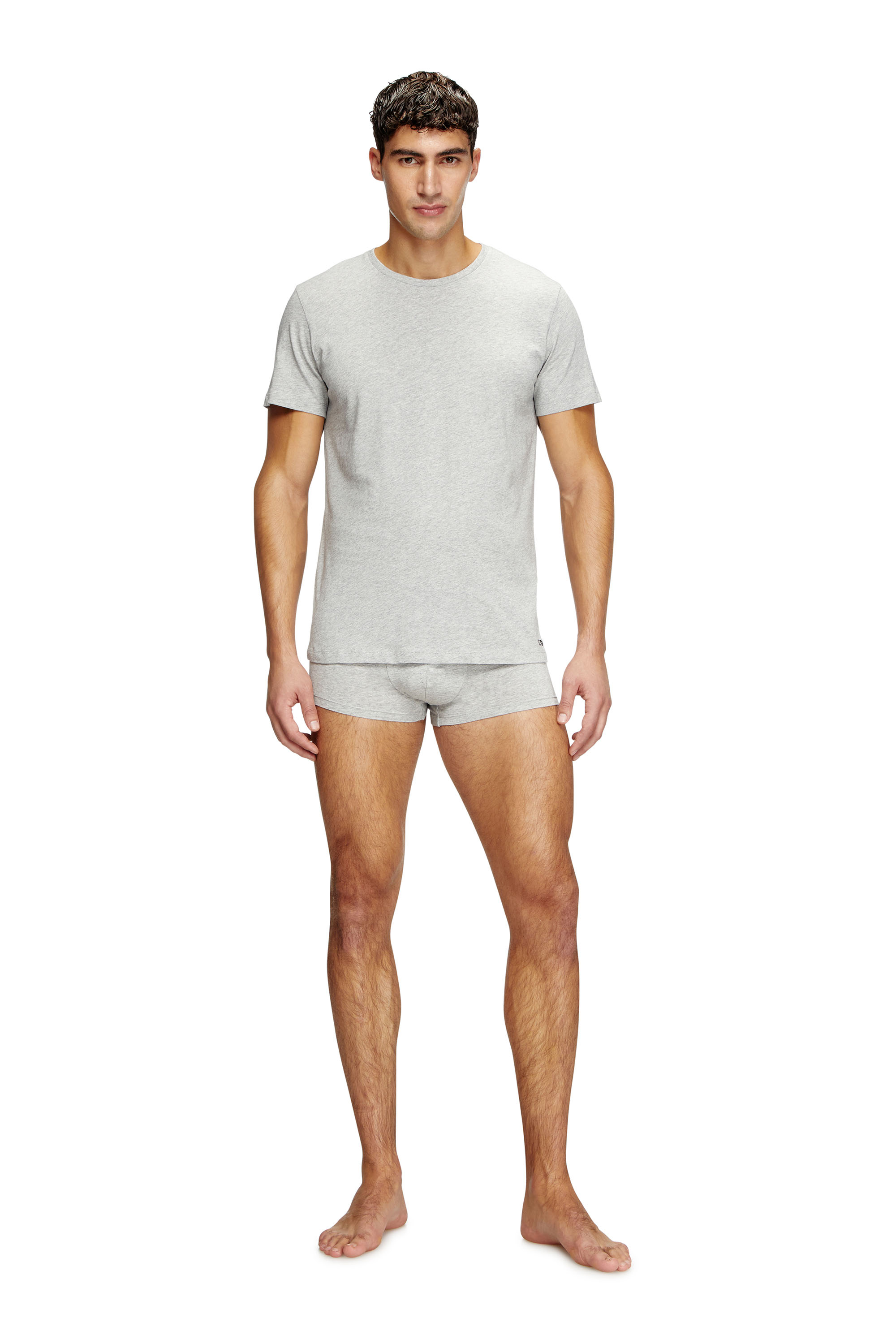 Diesel - RANDAL-D-BOX-3PACK, Herren T-Shirts im Dreierpack in Grau/Schwarz - 3